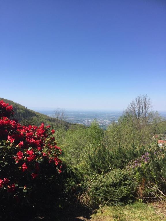 A panoramic view showcases rolling hills adorned with lush greenery and vibrant flowering plants. The skyline stretches into the distance, revealing a clear blue sky and a glimpse of the valley below, encapsulating the serene beauty of the surrounding landscape.