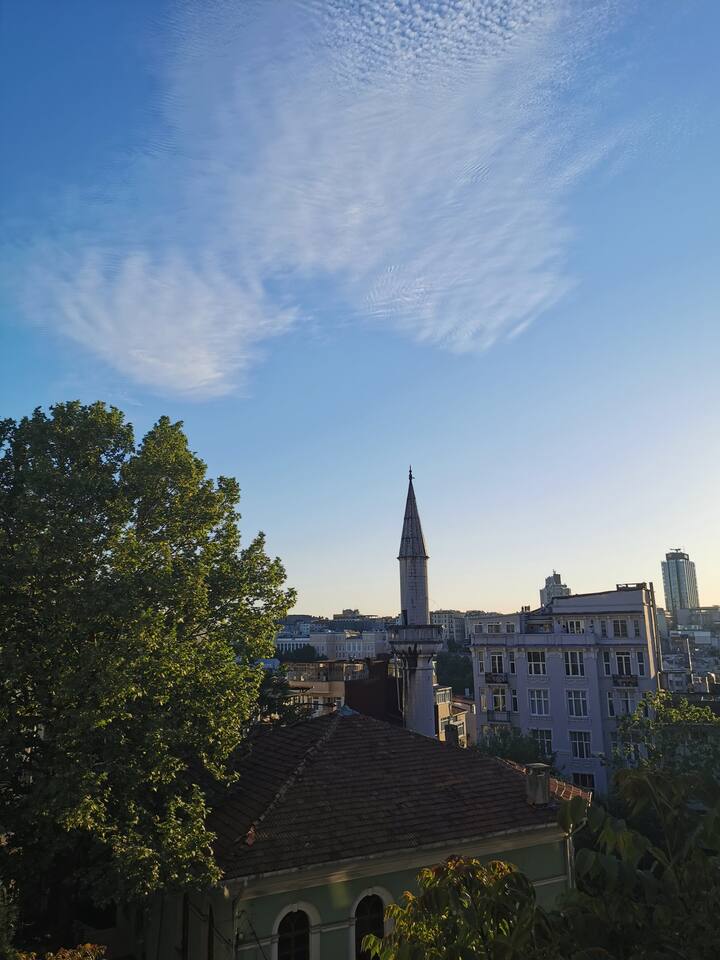 Penthouse Apt 7 minutes south of Taksim Square Apartments for Rent in Beyoğlu, İstanbul