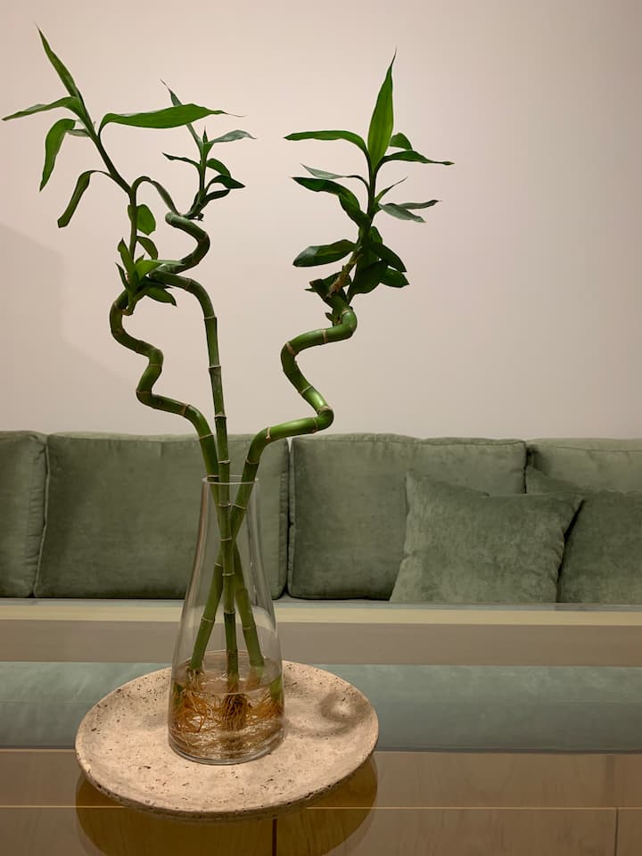 Studio apartment in Belgrano