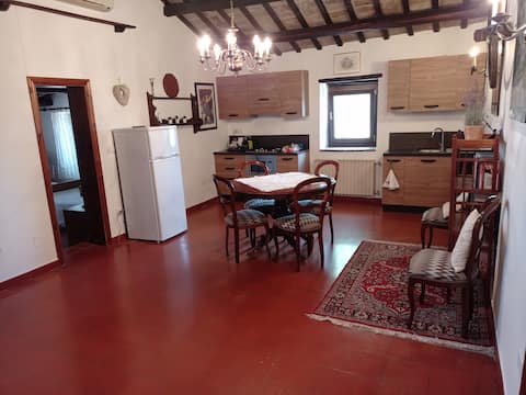 Top performing Airbnb: B&B Ca' Fabbro, Il Bacio apartment in Pesaro E Urbino
