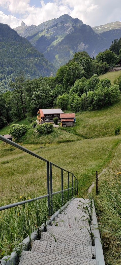 Successful Airbnb property: Wengwald - Apartment with breathtaking view in Lauterbrunnen