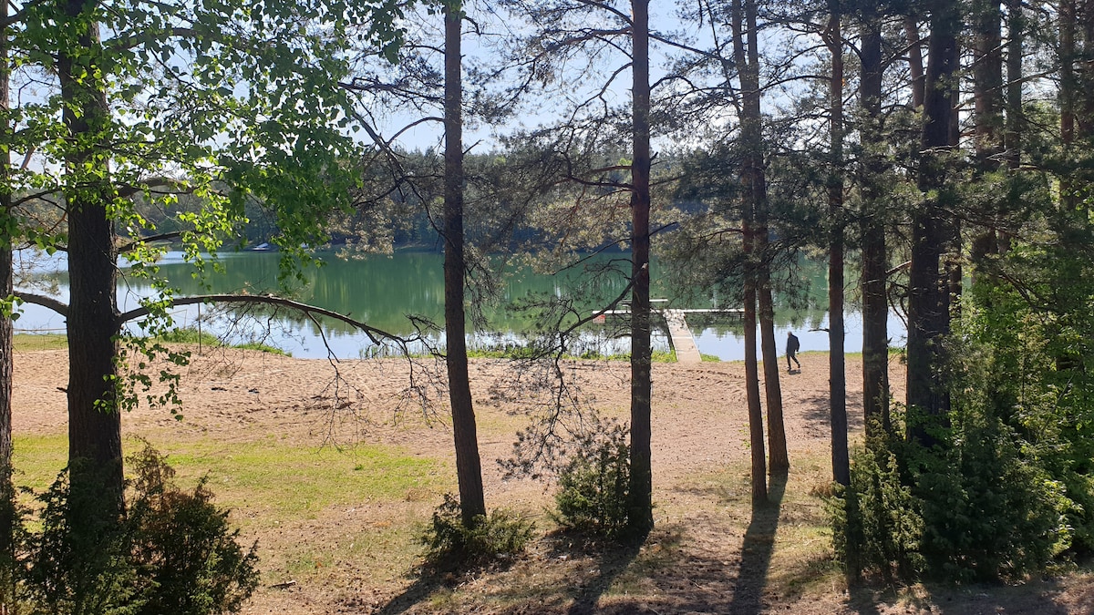 A serene lakeside scene is framed by tall trees, with clear water reflecting the sunlight. A sandy shore is visible, and a path leads to the water's edge, where an individual walks along the shoreline.