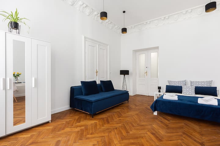 Spacious Apartment In The City Center - Krakov