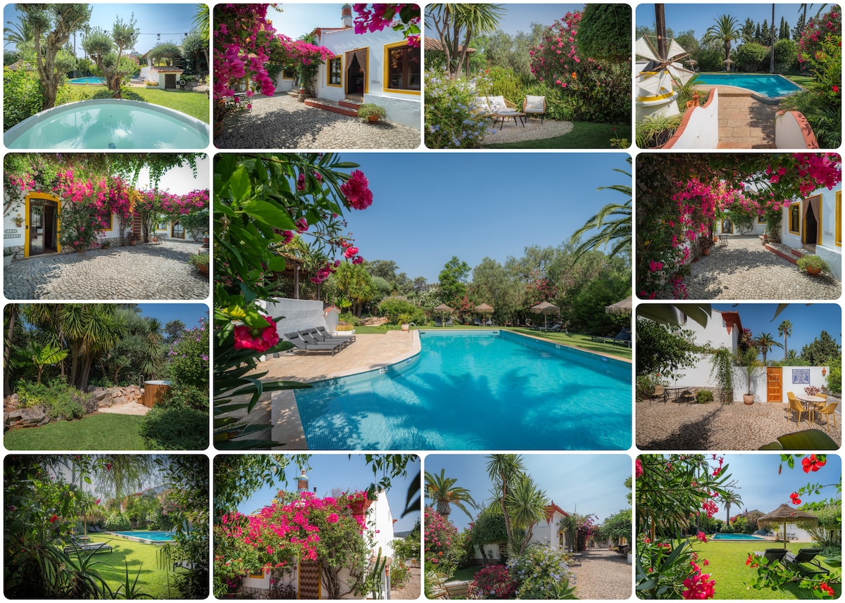 The tranquil garden features vibrant flowering plants and palm trees surrounding a spacious shared pool. Comfortable lounge chairs are positioned near the water, and a gathering area offers shaded spots amidst the lush greenery. The setting showcases a serene and welcoming outdoor environment.