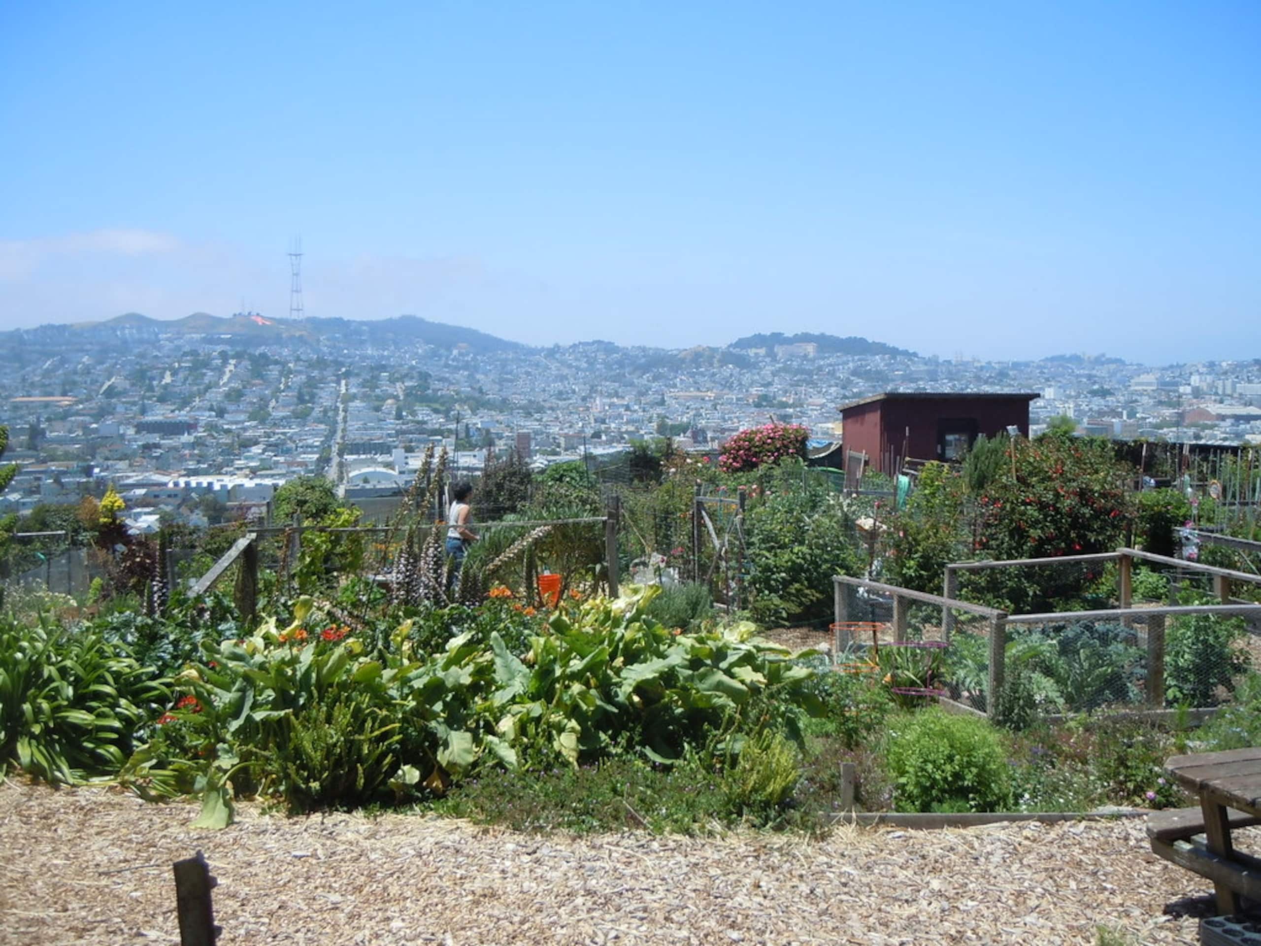 Condo in San Francisco · ★4.99 · 1 bedroom · 1 bed · 1 bath - Image 28