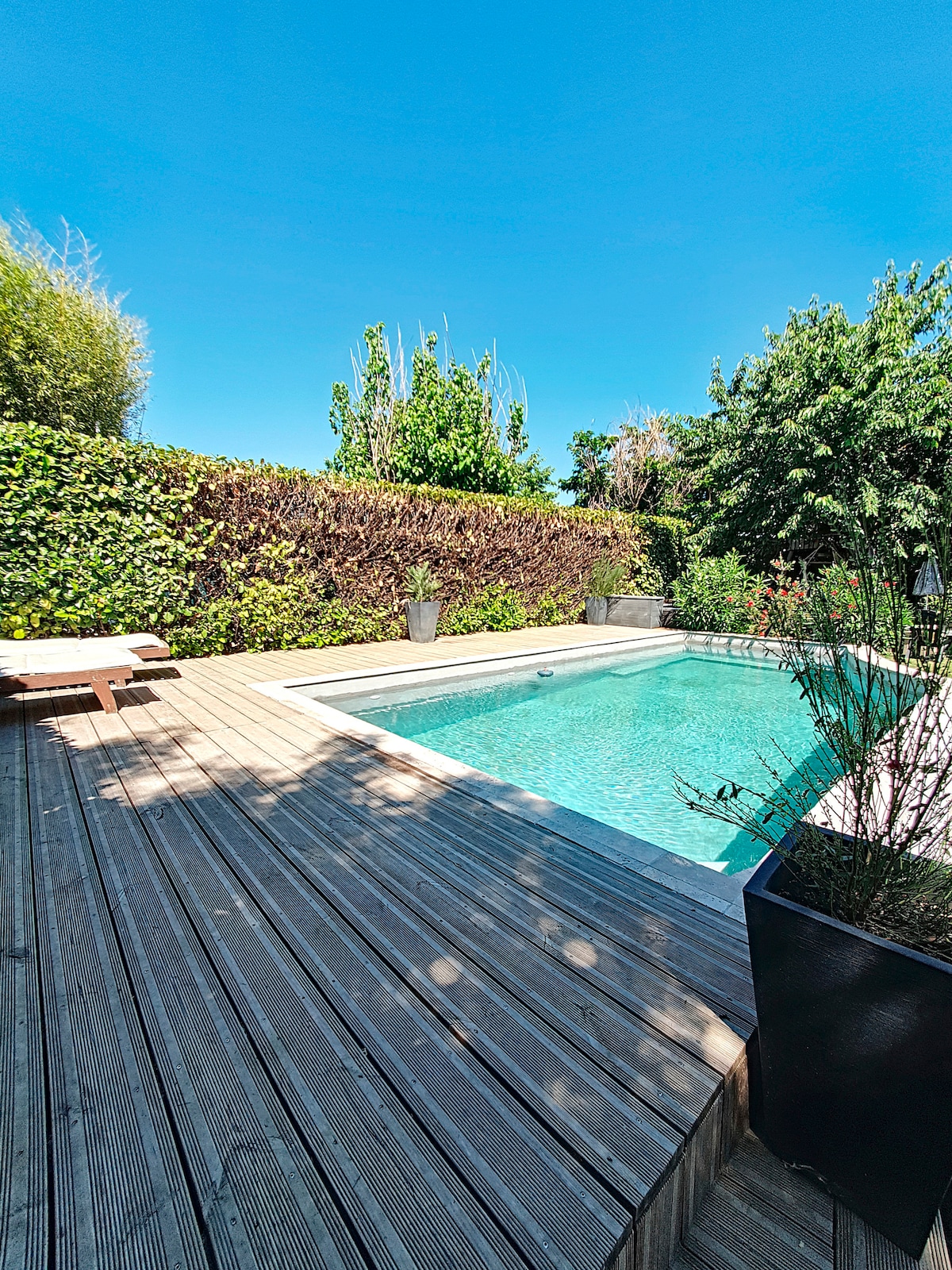 A private pool area is framed by lush greenery and a wooden deck. The pool is surrounded by planters and offers a serene outdoor space for relaxation, with two lounge chairs positioned nearby under the clear blue sky.