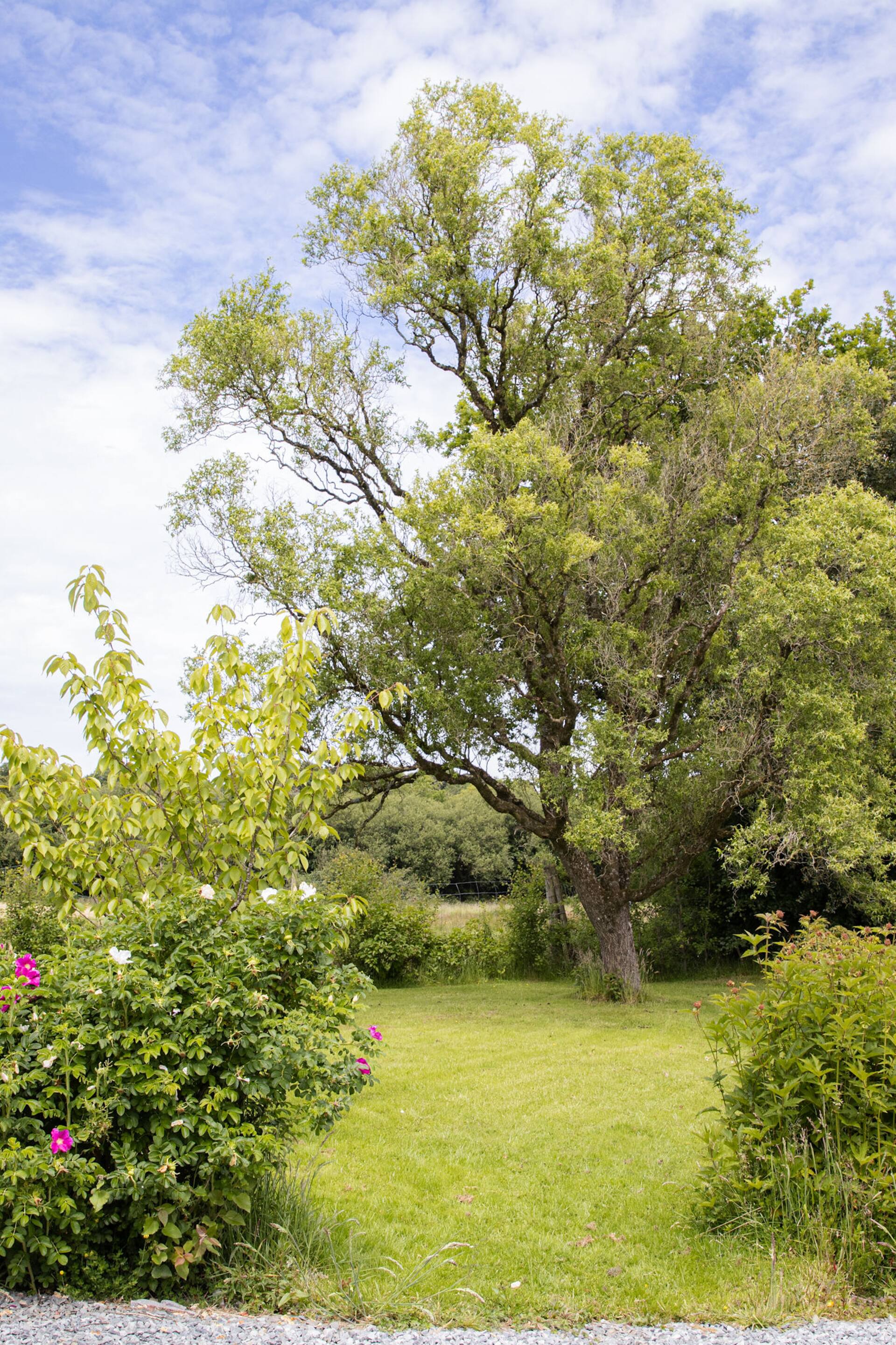 Batney Farm Cottage in peaceful Devon location — foto 2