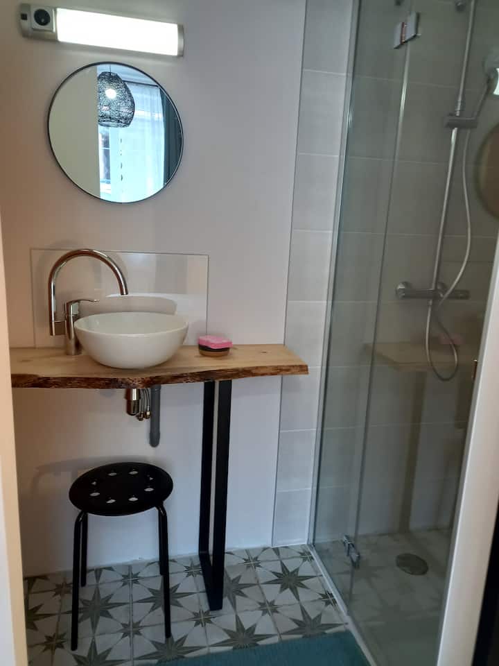 Tuš kabina iz glavnog apartmana u prizemlju: tuš 80 x 100