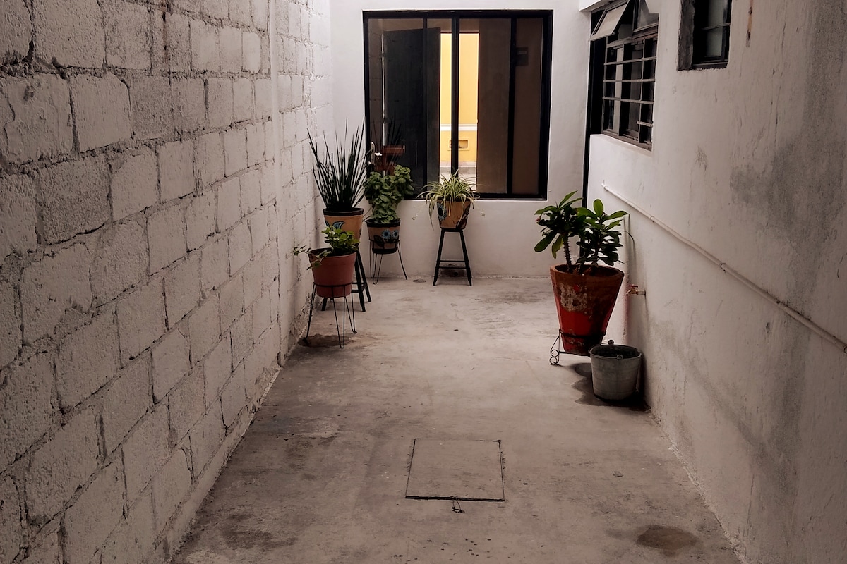 A narrow, sheltered walkway is lined with various potted plants, adding greenery to the space. Sunlight filters through a large window, enhancing the view of the courtyard beyond. The floor is concrete, and the walls are simple, unfinished blocks.