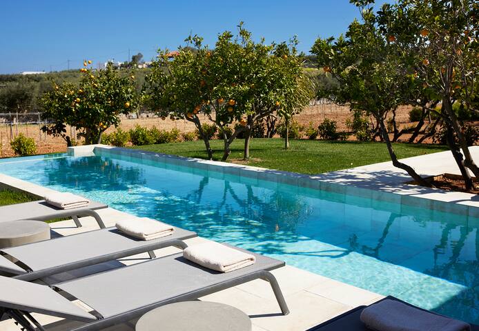 Citrus Grove – Orange Tree Villa gallery image 5