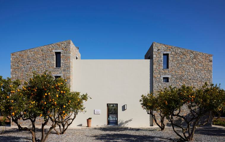 Citrus Grove – Orange Tree Villa gallery image 3