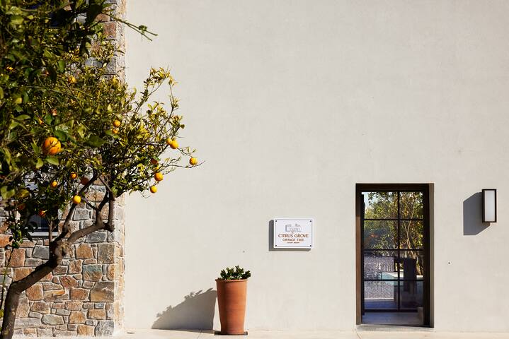 Citrus Grove – Orange Tree Villa gallery image 4