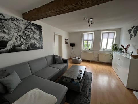 Popular Airbnb listing: Lovely apartment between Bergpark and Wilh. train station. in Kassel