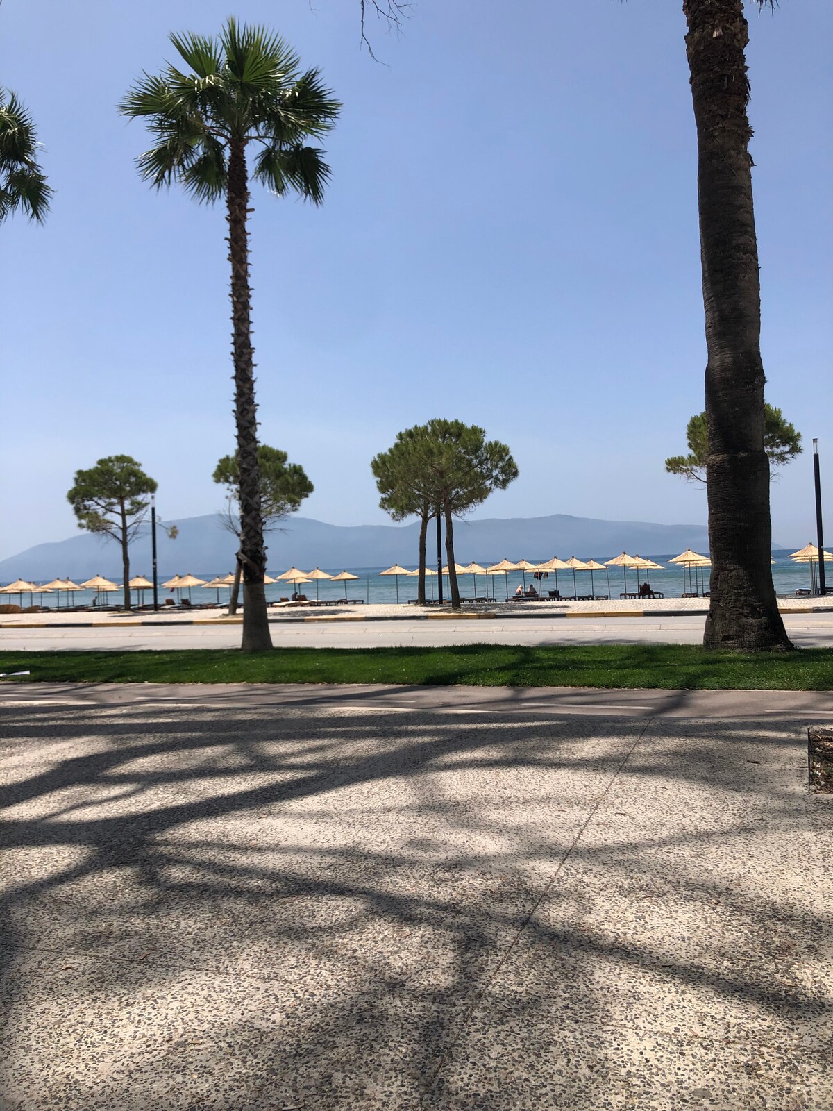 Listing 643293527006536686