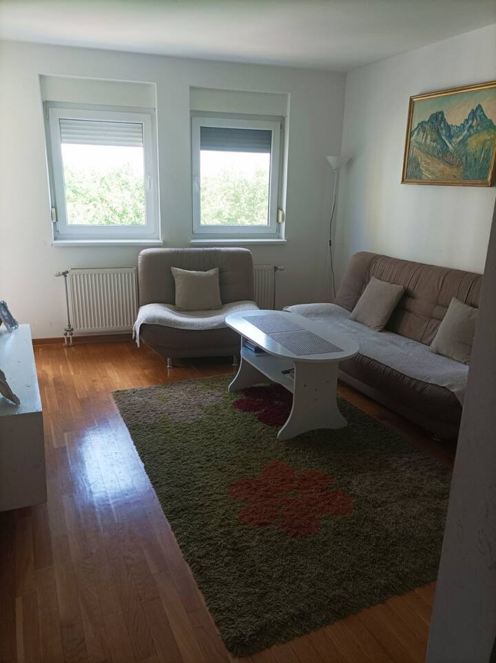 Great Apartment for Exit 2022 Apartments for Rent in Novi Sad