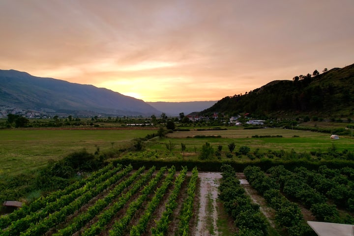 Bungalow in a Vineyard