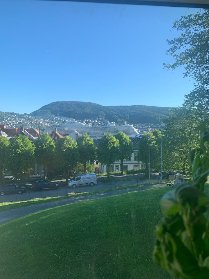 Bergen Apartments | House and Apartment Rentals | Airbnb