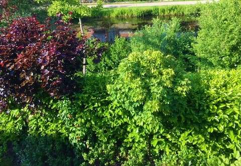 Leistungsstarkes Airbnb: Duplex directly on the canal in Bremen
