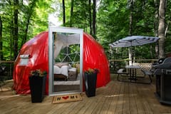 The+Hive+%40+Little+Red+Homestead