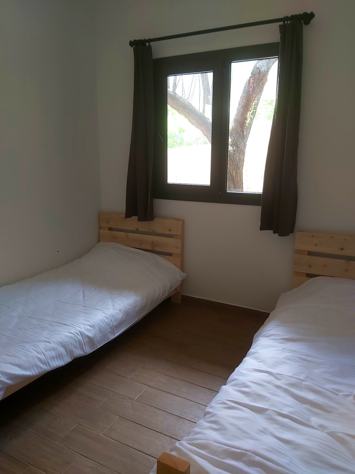 Özel Havuzlu Kır evi Zeytin