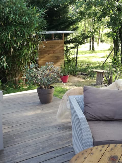 The house by the lake