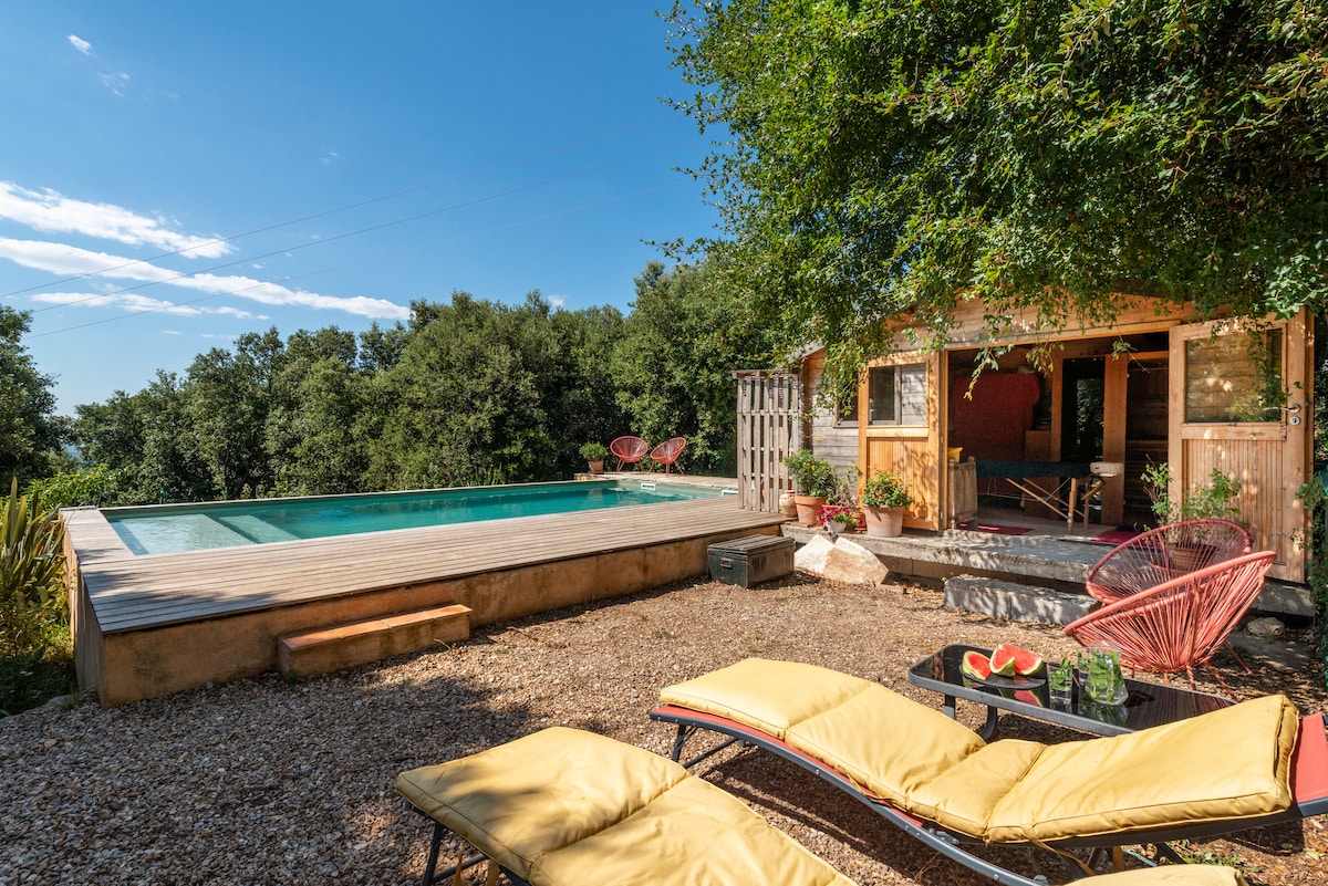 A serene outdoor area features a wooden deck surrounding a swimming pool, complemented by sun loungers. A cozy wooden rental unit with large openings invites natural light and provides views of surrounding trees and landscape.