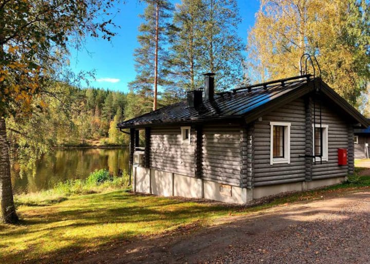 Puumala Holiday Rentals & Homes - South Savo, Finland | Airbnb