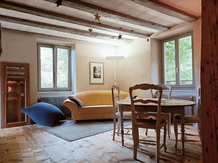 Gîte De Charme 3* Dans Ferme Du Xixe Restaurée - Forêt-Noire
