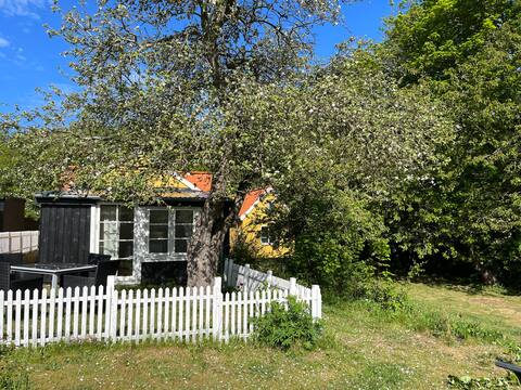 Small cozy cottage close to forest and beach.