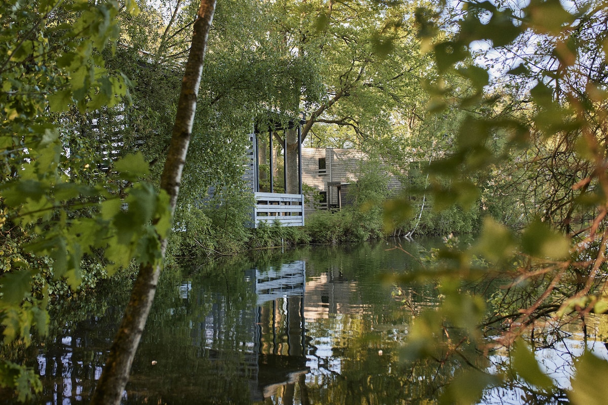 A tranquil scene of water reflecting the greenery surrounding a modern structure. The building, partially visible, is framed by trees, enhancing the natural setting. Soft light filters through the foliage, creating a serene atmosphere by the lakeside.