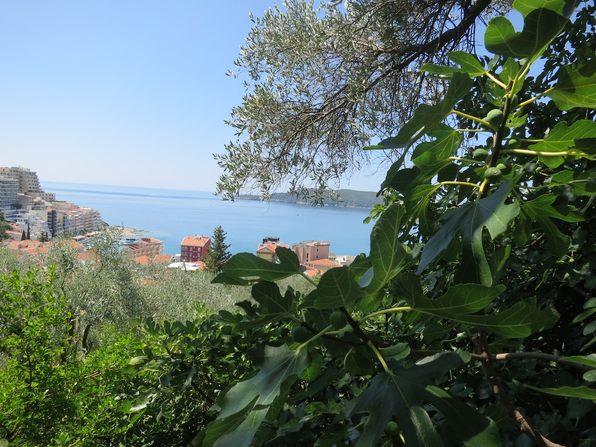 A scenic view captured through vibrant green foliage, revealing a tranquil body of water in the distance. Coastal buildings are visible below, surrounded by lush vegetation under a clear blue sky.