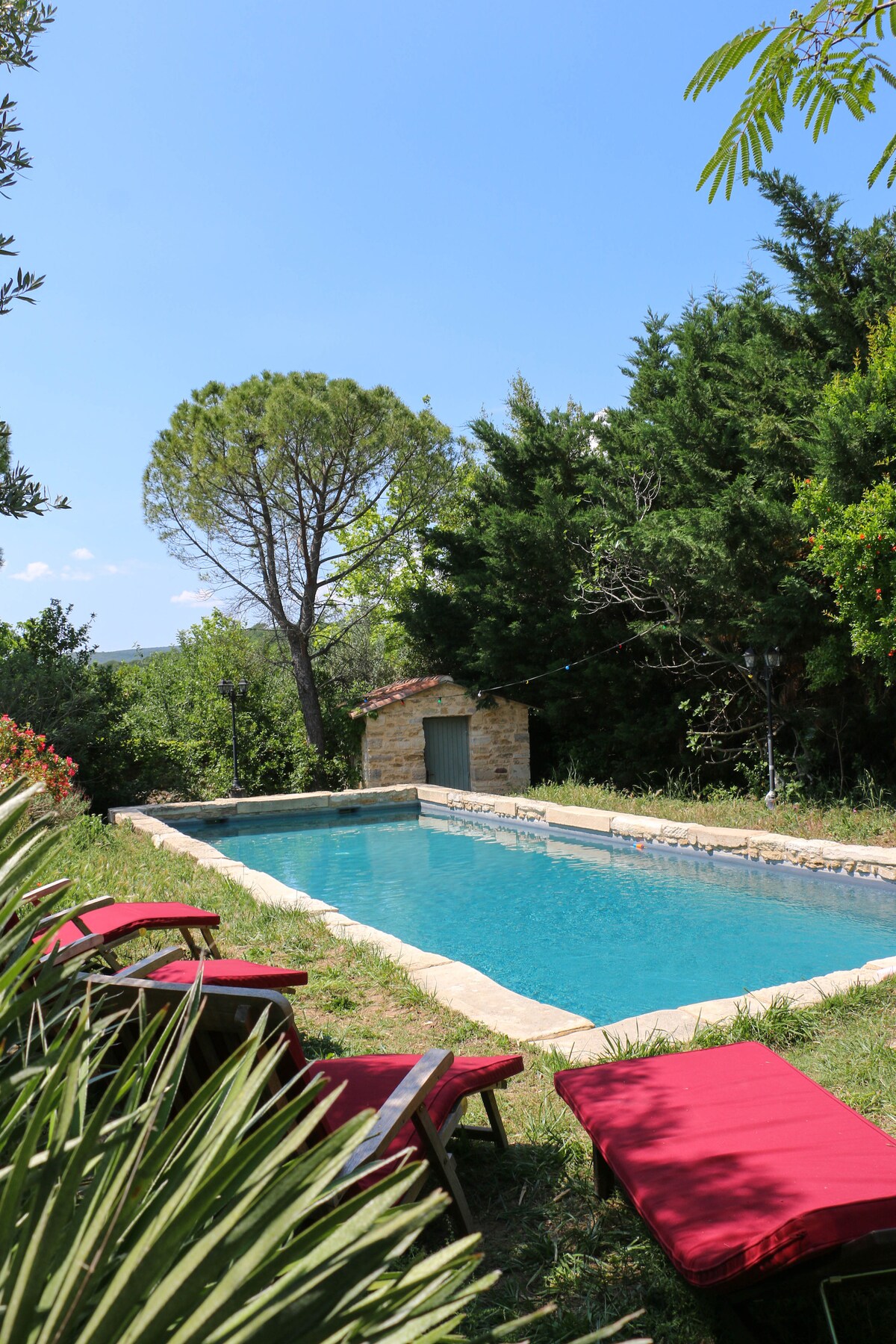 A tranquil pool area is surrounded by lush greenery, featuring a clear blue swimming pool and a stone patio. Red lounge chairs invite relaxation under the sun, while trees provide gentle shade in the atmosphere.