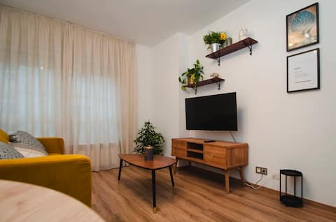 Successful Airbnb property: Very central apartment. in Lugo