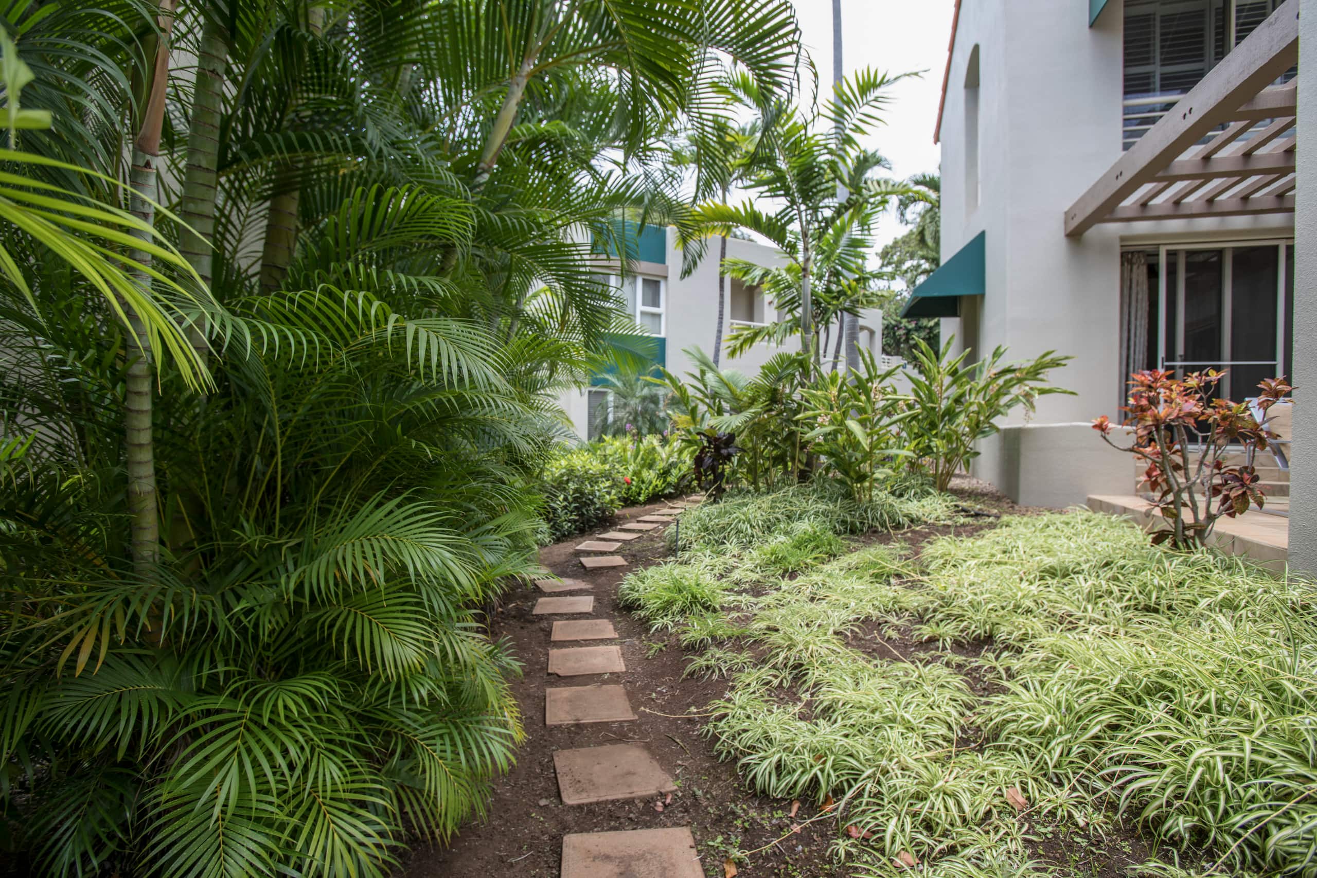 Condo in Kihei · ★4.94 · 1 bedroom · 2 beds · 2 baths - Image 52