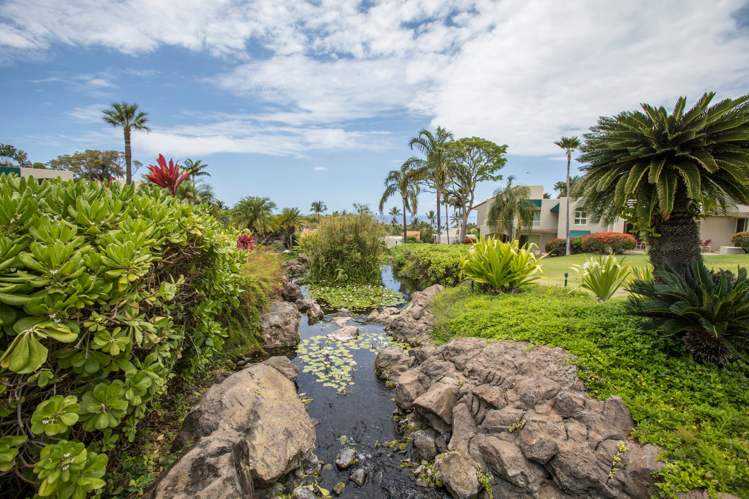 Condo in Kihei · ★4.94 · 1 bedroom · 2 beds · 2 baths - Image 40