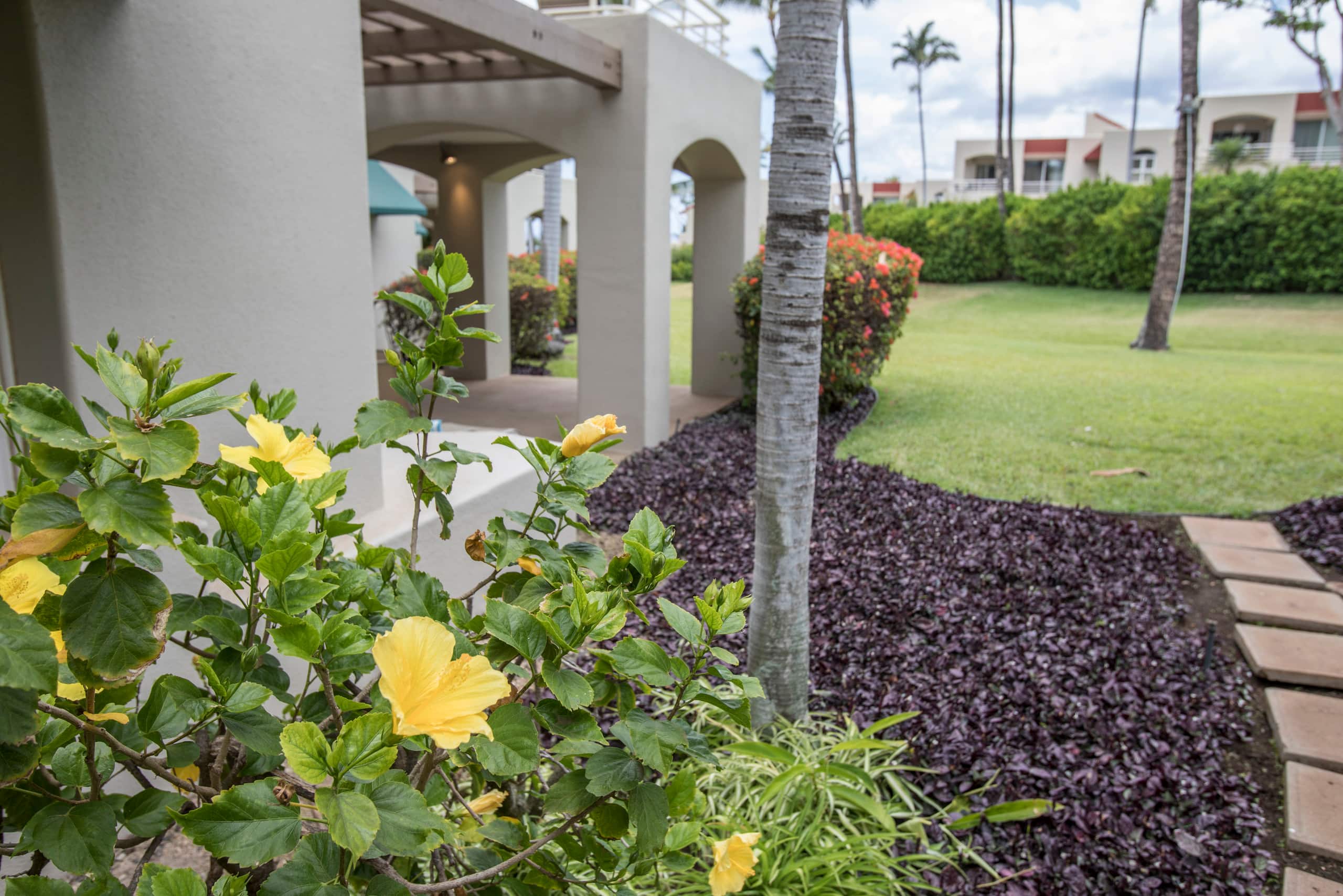 Condo in Kihei · ★4.94 · 1 bedroom · 2 beds · 2 baths - Image 53