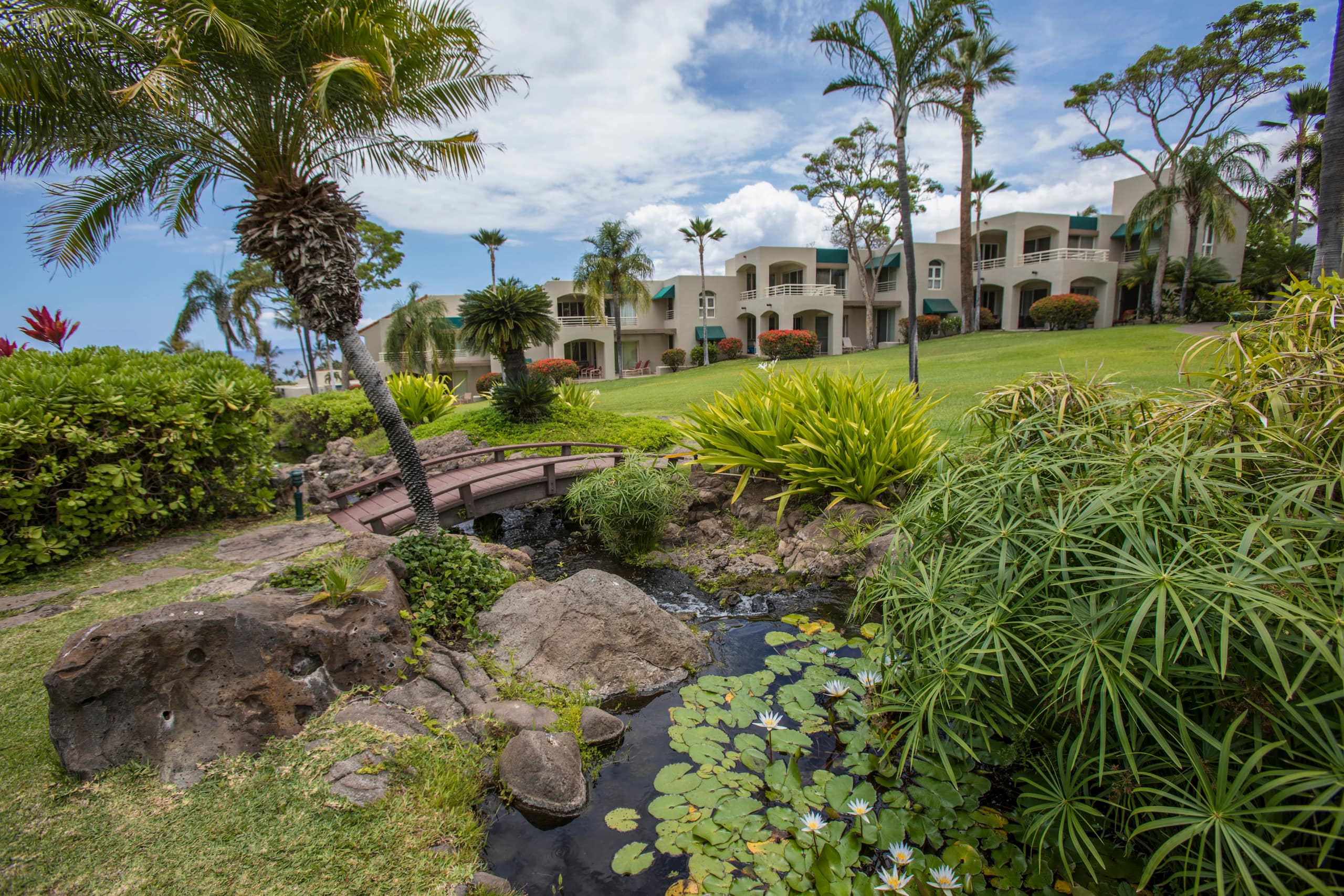 Condo in Kihei · ★4.94 · 1 bedroom · 2 beds · 2 baths - Image 41
