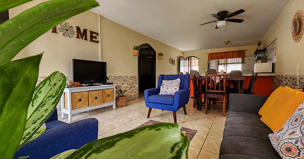 A spacious living area is highlighted by a cozy blue armchair and a grey sofa, complemented by decorative pillows. A television is placed on a stylish cabinet near a dining table set for six. Plants add a touch of greenery, enhancing the inviting ambiance.