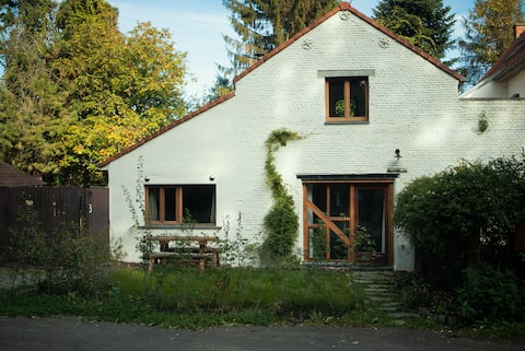 Het Bosnest, a holiday home on the Hallerbos