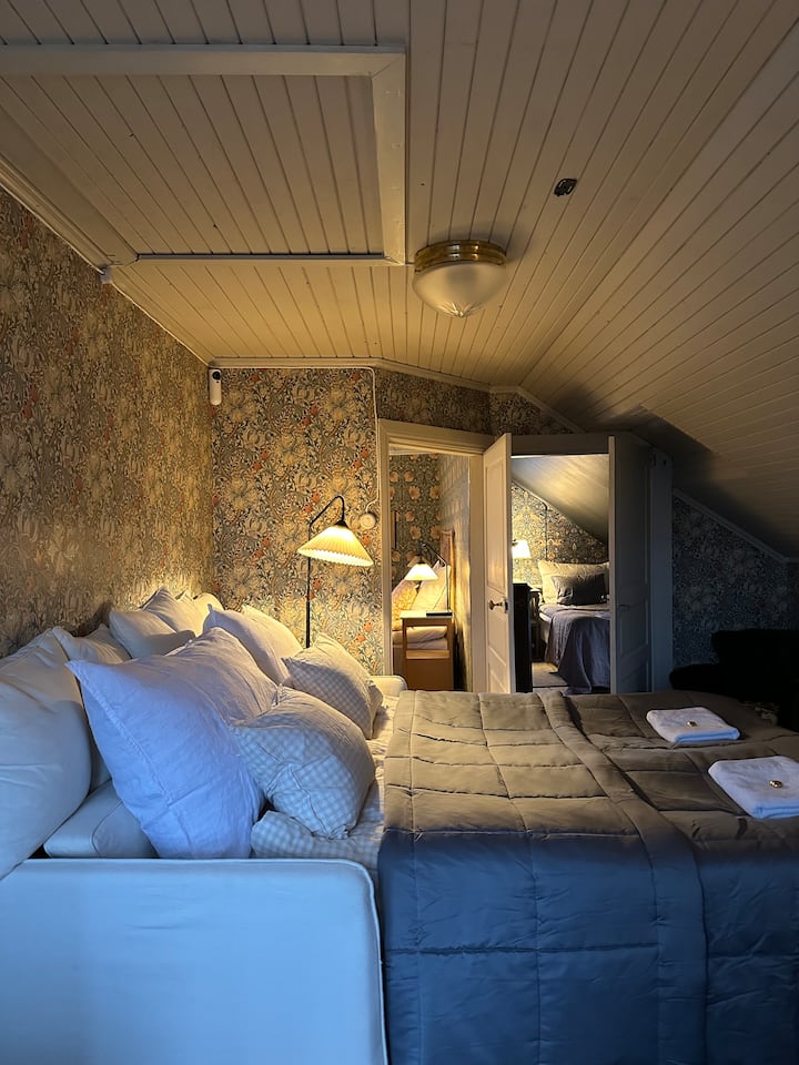 Сала со кауч на спуштање за 2 лица (160 см)