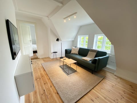 Modern apartment with sea view in a Frisian house