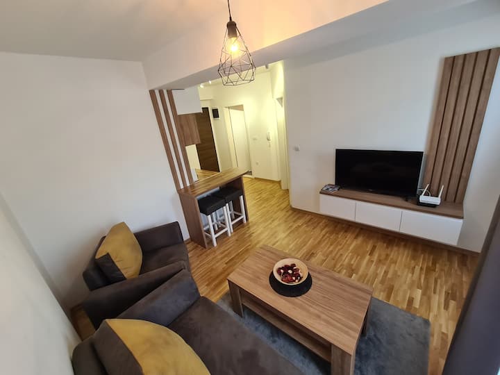 Modern & Cozy Apartment next to the Bus Station Apartments for Rent
