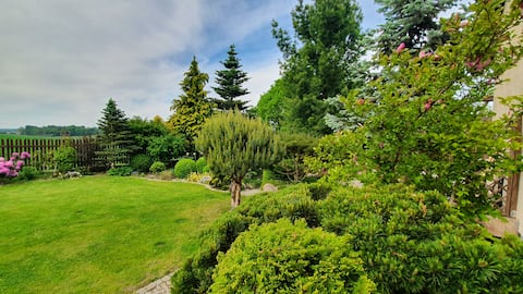 Popular Airbnb listing: Agritourism by the forest in Osowa