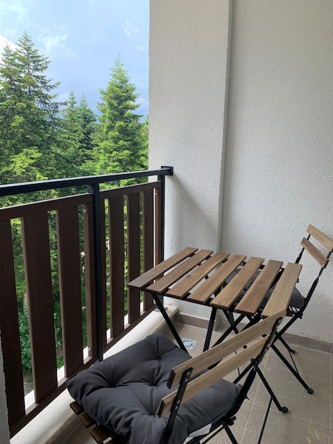 Top performing Airbnb: Studio in Apart-hotel Borovets Gardens in Самоков