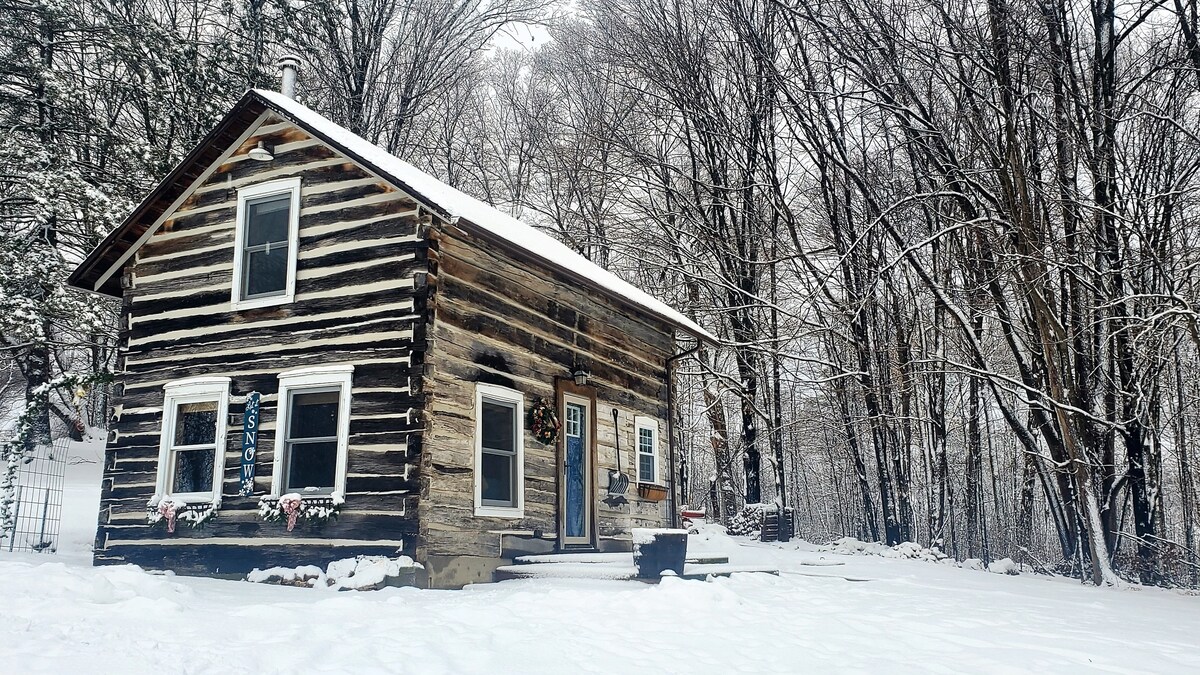 A charming Norwegian cabin is surrounded by a serene blanket of snow. The log exterior is complemented by a welcoming front porch, with decorations that hint at the festive season. Leafless trees provide a stark contrast against the cabin, framing the peaceful winter landscape.