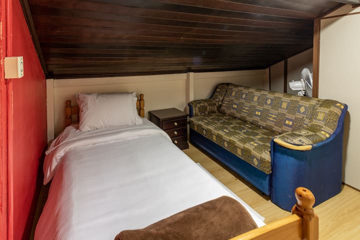 Single bed and sofa bed.