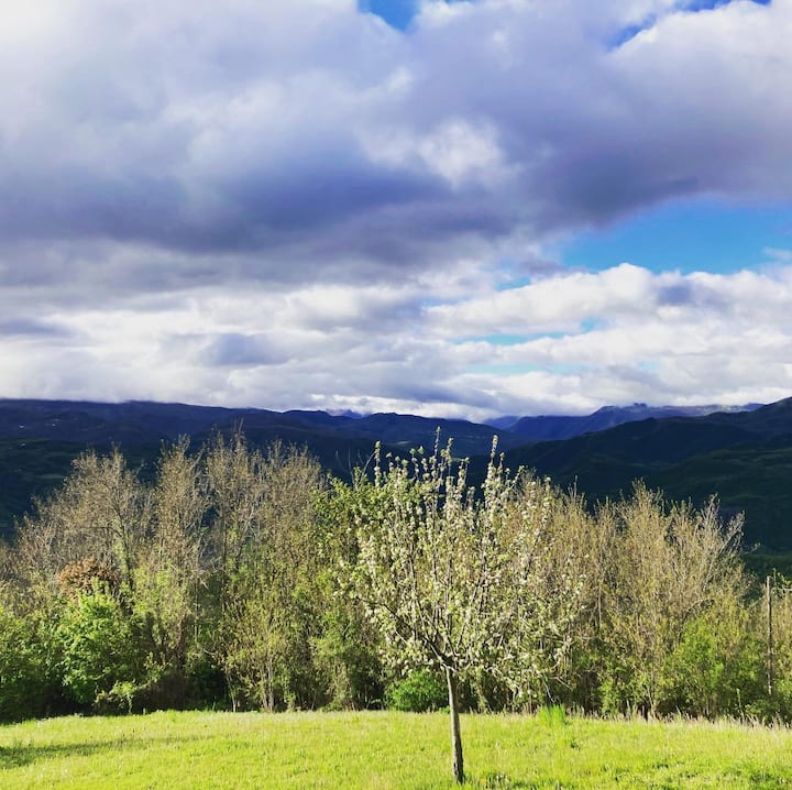 Stanza Tarassaco In B&b La Casa Rossa Di Alice - Bobbio