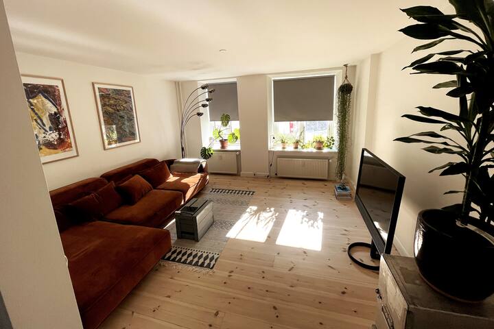 Big, bright & just renovated: Best location in CPH gallery image 2