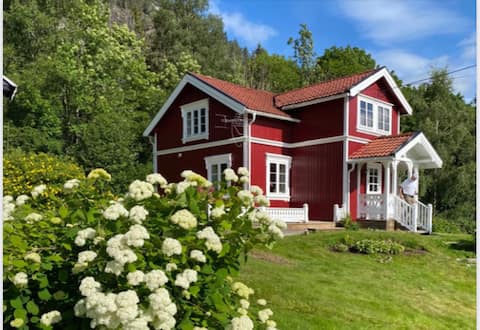 Successful Airbnb property: Nistøgo Nordskog in Kviteseid