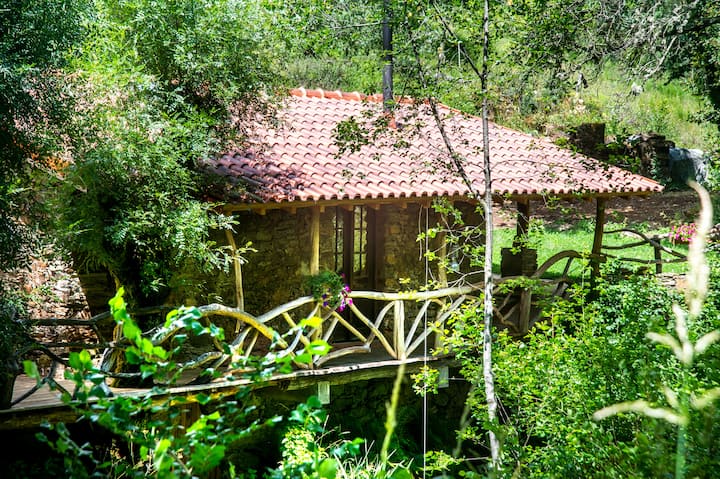Ribeira do Montestal Watermill